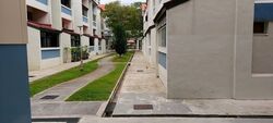Blk 355 Bukit Batok Street 31 (Bukit Batok), HDB Executive #596445071